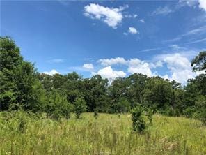 9825 County Road 173, Iola, TX 77861 - photo 2