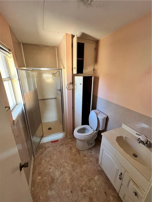 full bathroom featuring toilet, a shower stall, and vanity