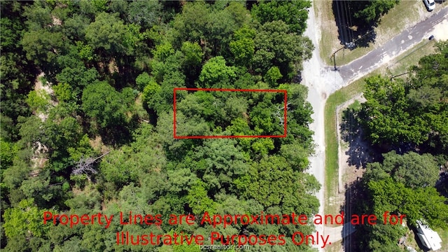 TBD Port Blvd, Trinity, TX 75862 - photo 4