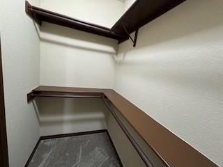 3349 General Pkwy, College Station, TX 77845 - view of spacious closet