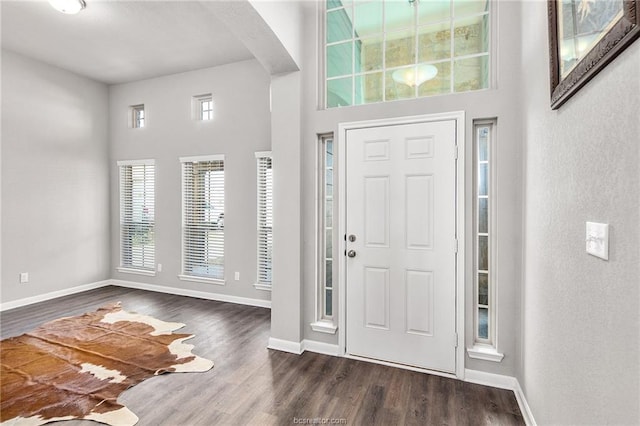 entryway featuring a high ceiling and dark hardwood / wood-style floors