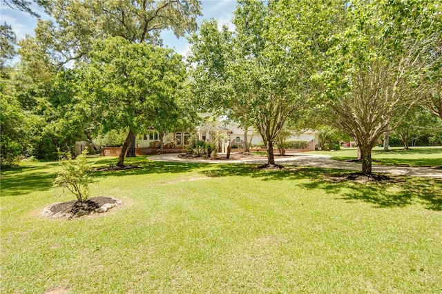 15609 Crown Oaks Dr, Montgomery, TX 77316 - photo 32