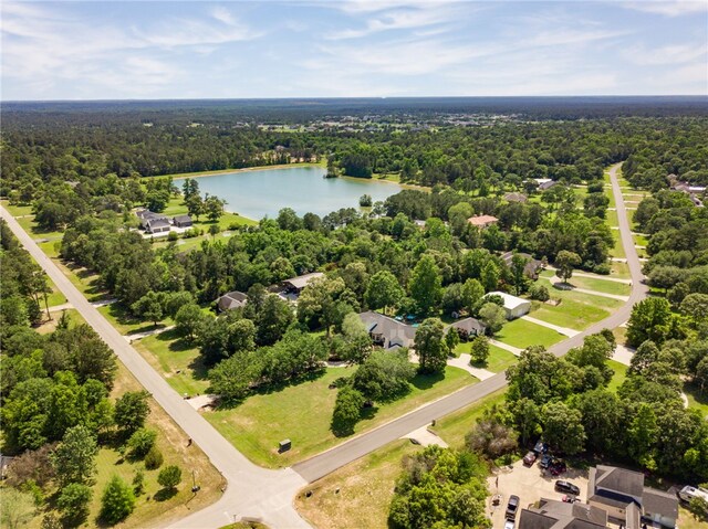 15609 Crown Oaks Dr, Montgomery, TX 77316 - photo 8
