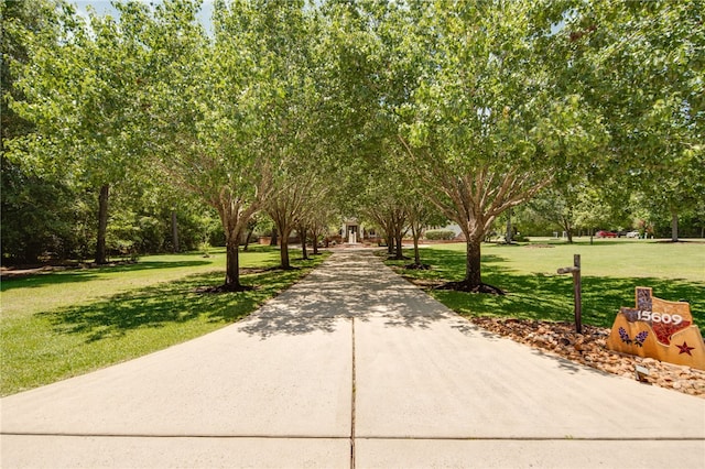 15609 Crown Oaks Dr, Montgomery, TX 77316 - photo 35