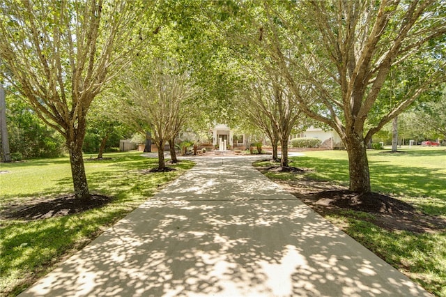 15609 Crown Oaks Dr, Montgomery, TX 77316 - photo 2