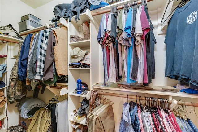 view of walk in closet