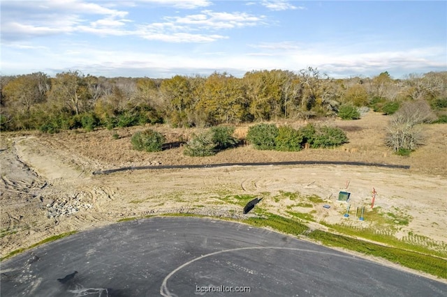 10746 Harvey Ranch Rd, College Station TX, 77845 land for sale