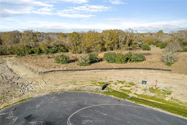 10746 Harvey Ranch Rd, College Station, TX 77845 - photo 1