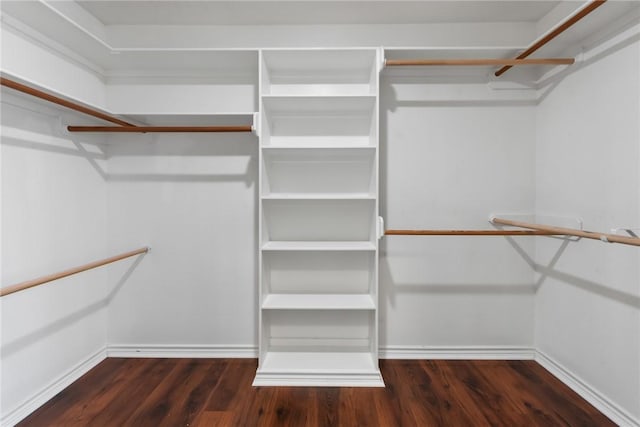 spacious closet featuring wood finished floors