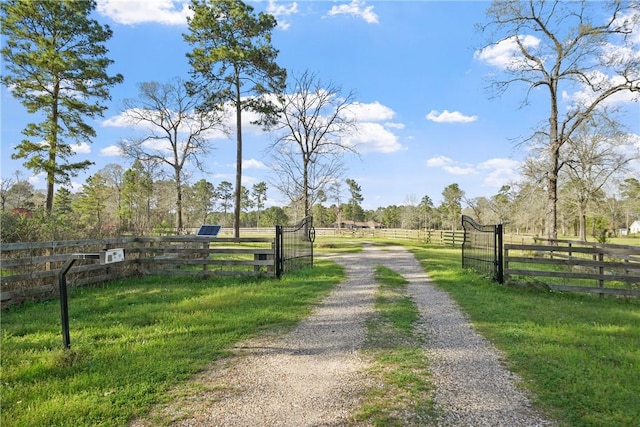 26250 Riley Rd, Waller, TX 77484 - photo 11