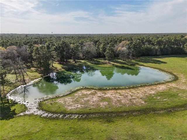 26250 Riley Rd, Waller, TX 77484 - photo 13