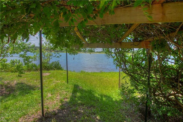 65 Lakeland Dr S, Hilltop Lakes, TX 77871 - photo 38