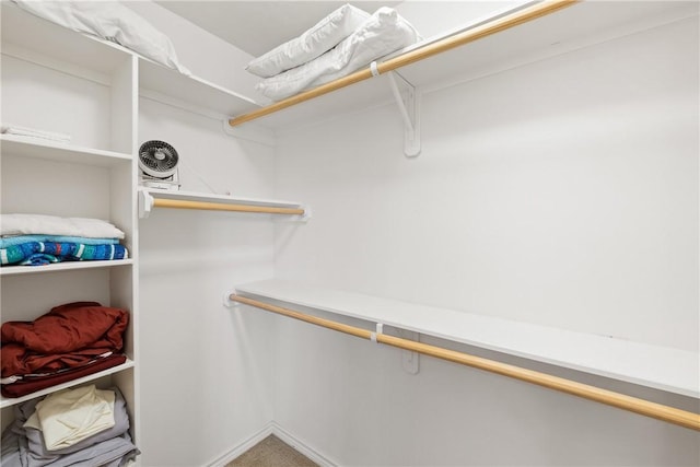 spacious closet with carpet