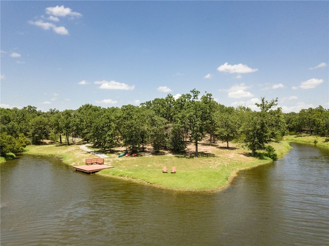 18140 Osage Trail Dr, College Station, TX 77845 - water view with a tree filled landscape