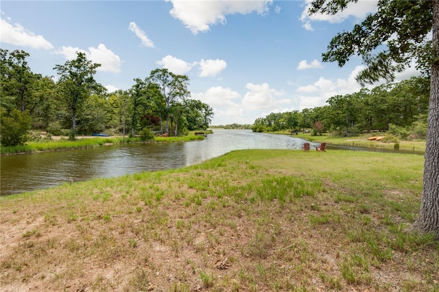 18140 Osage Trail Dr, College Station, TX 77845 - water view