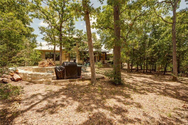 18140 Osage Trail Dr, College Station, TX 77845 - view of yard with a patio area