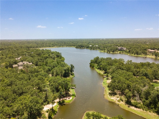 18140 Osage Trail Dr, College Station, TX 77845 - drone / aerial view of a forest and a large body of water