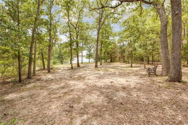 18140 Osage Trail Dr, College Station, TX 77845 - view of undeveloped land