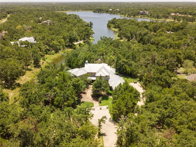 18140 Osage Trail Dr, College Station, TX 77845 - bird's eye view of a forest and a large body of water
