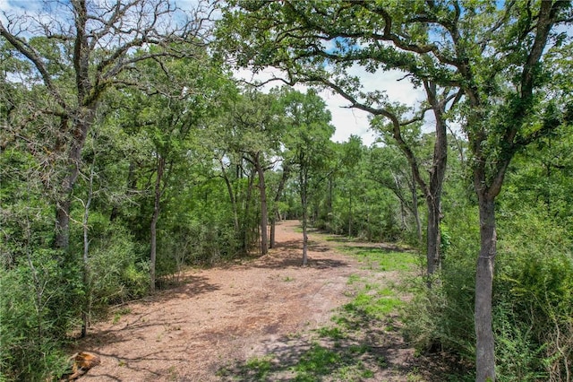 TRACT4 Jones Rd, College Station, TX 77845 - photo 2