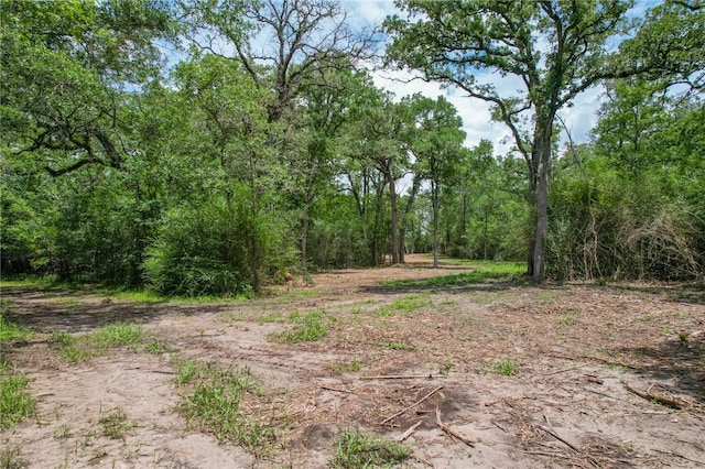 TRACT4 Jones Rd, College Station, TX 77845 - photo 8