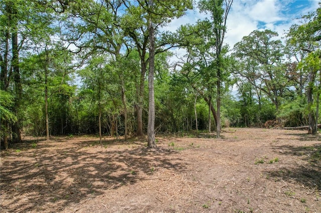 TRACT4 Jones Rd, College Station, TX 77845 - photo 6