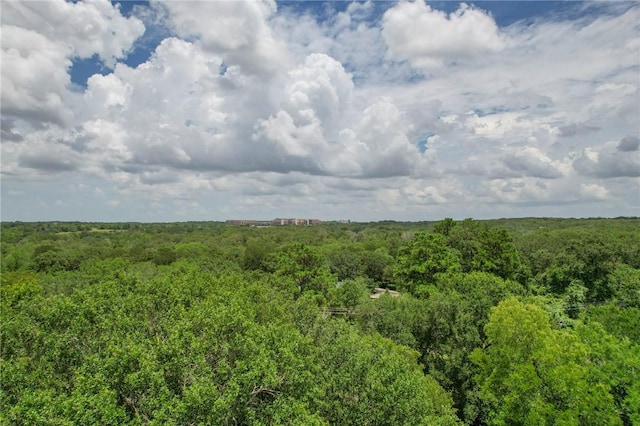 TRACT4 Jones Rd, College Station, TX 77845 - photo 20