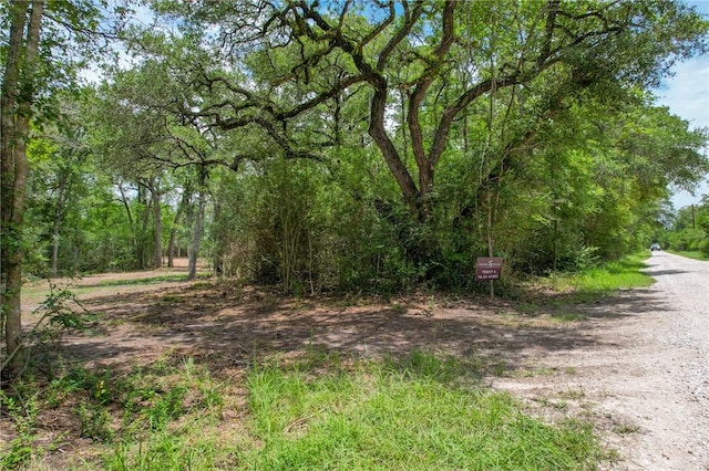 TRACT4 Jones Rd, College Station, TX 77845 - photo 1