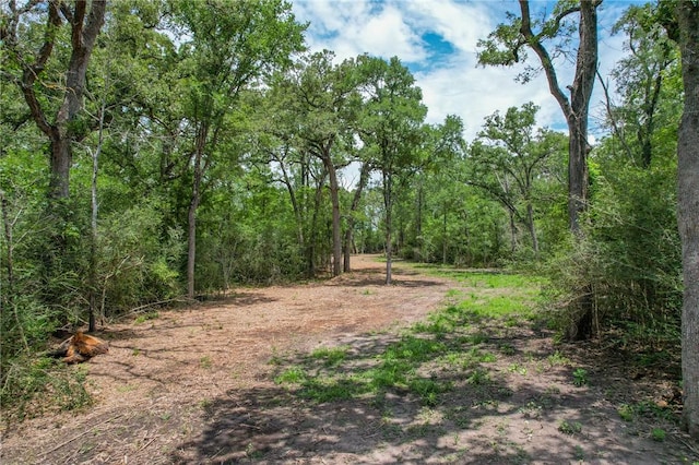 TRACT4 Jones Rd, College Station, TX 77845 - photo 4