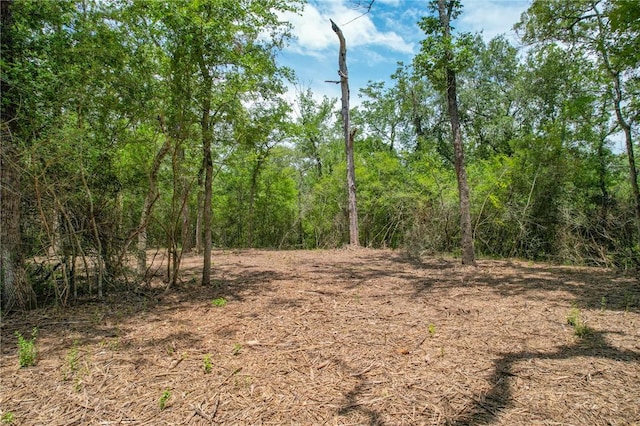 TRACT4 Jones Rd, College Station, TX 77845 - photo 14
