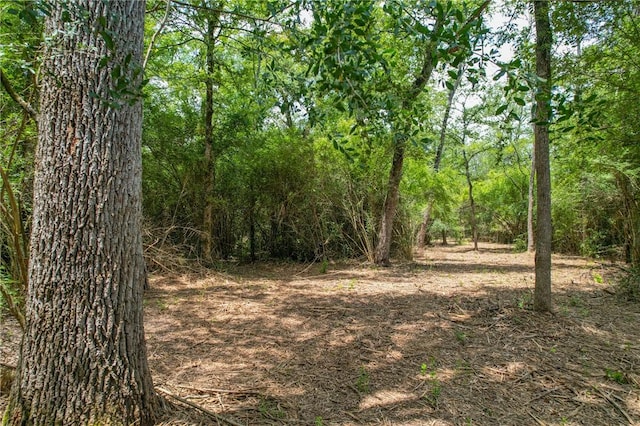 TRACT4 Jones Rd, College Station, TX 77845 - photo 18