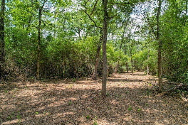 TRACT4 Jones Rd, College Station, TX 77845 - photo 11