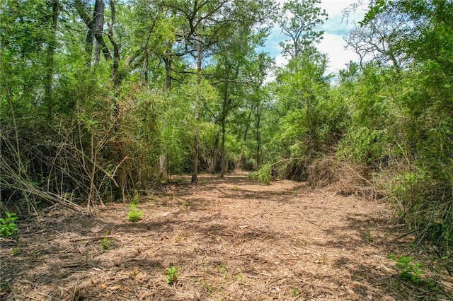 TRACT4 Jones Rd, College Station, TX 77845 - photo 9