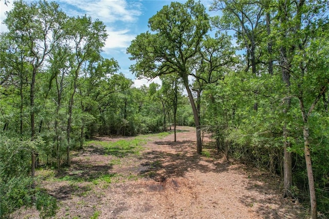 TRACT4 Jones Rd, College Station, TX 77845 - photo 15