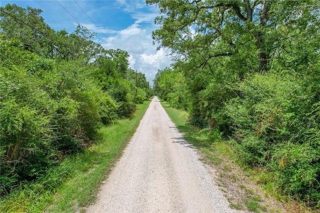 TRACT4 Jones Rd, College Station, TX 77845 - photo 22