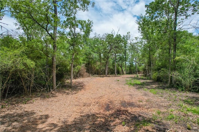 TRACT4 Jones Rd, College Station, TX 77845 - photo 5