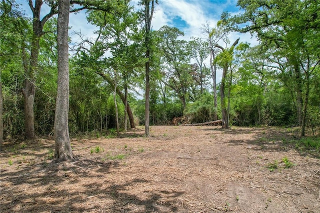 TRACT4 Jones Rd, College Station, TX 77845 - photo 7
