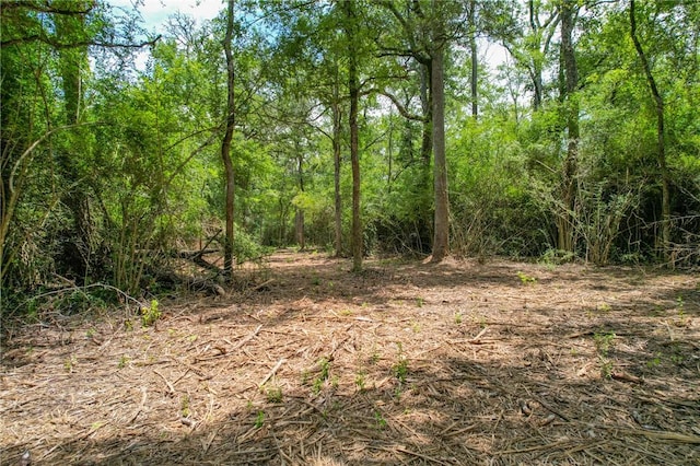 TRACT4 Jones Rd, College Station, TX 77845 - photo 17