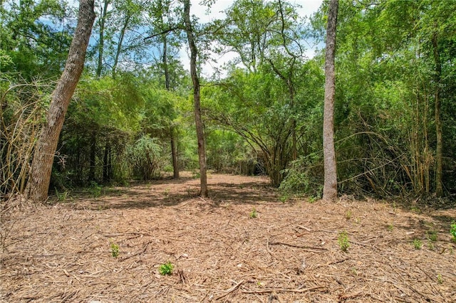 TRACT4 Jones Rd, College Station, TX 77845 - photo 10