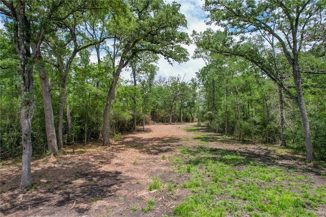 TRACT4 Jones Rd, College Station, TX 77845 - photo 3
