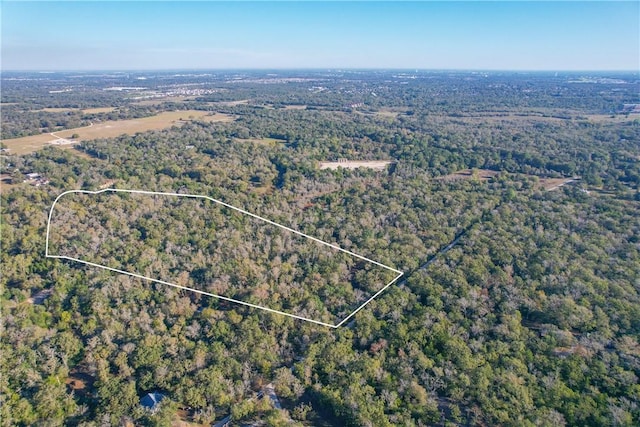 TRACT4 Jones Rd, College Station, TX 77845 - photo 23