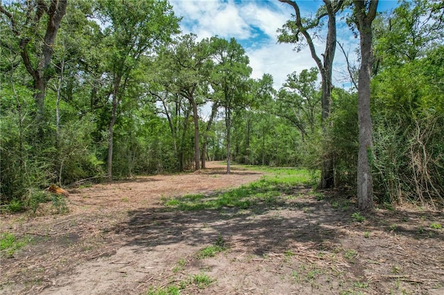 TRACT4 Jones Rd, College Station, TX 77845 - photo 19