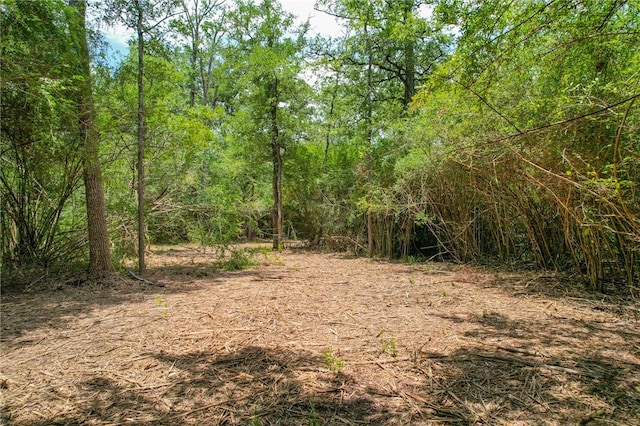 TRACT4 Jones Rd, College Station, TX 77845 - photo 12
