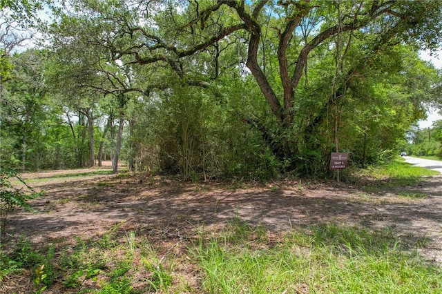 TRACT4 Jones Rd, College Station, TX 77845 - photo 16