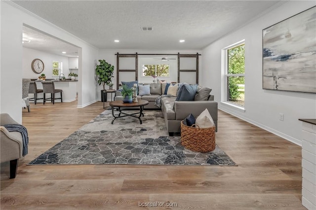 living room with crown molding, hardwood / wood-style floors, and a textured ceiling