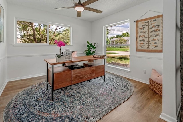 office area featuring a textured ceiling, hardwood / wood-style flooring, ceiling fan, and a healthy amount of sunlight