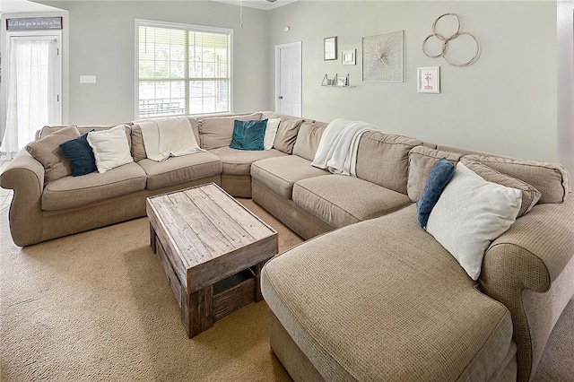 713 Broadmoor Dr, Bryan, TX 77802 - living room with light carpet and ornamental molding