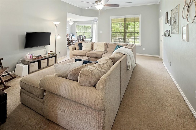 713 Broadmoor Dr, Bryan, TX 77802 - living room featuring crown molding, ceiling fan, baseboards, and light colored carpet