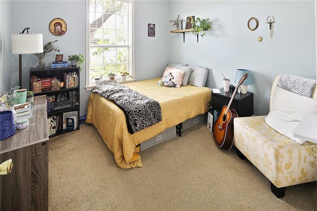 713 Broadmoor Dr, Bryan, TX 77802 - bedroom with light carpet