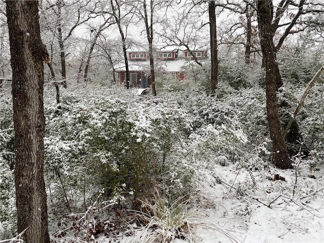 view of snowy landscape